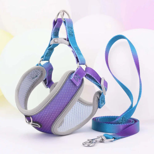 Dog Harness Leash Set for Small Dogs Polyester Adjustable Puppy Cat