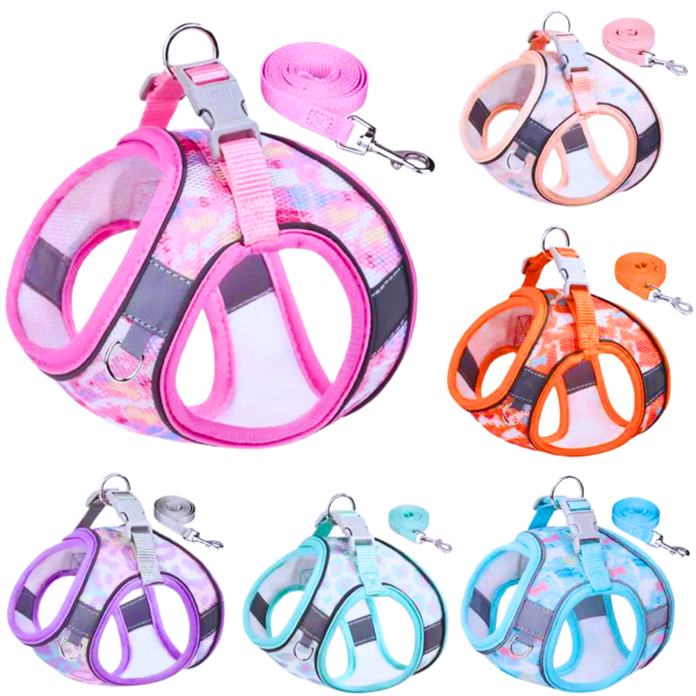Dog Harness Leash Set Breathable Pet Chest Strap Puppy Kitten