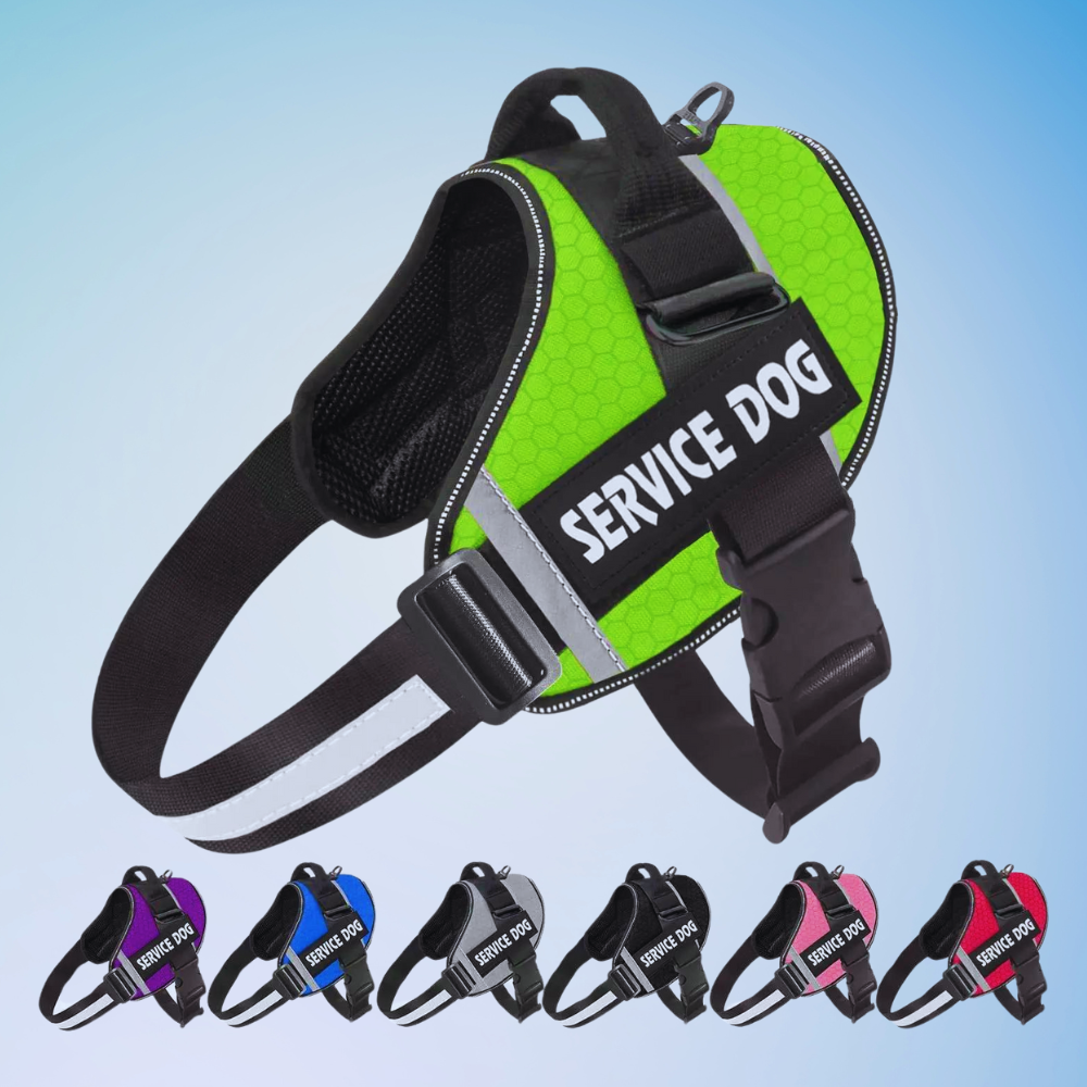 Personalized French Bulldog Harness Adjustable Pet Vest Reflective