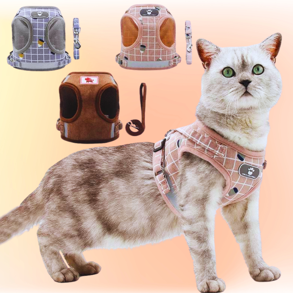 Adjustable Cat Puppy Harness and Leash Sets Mesh Breathable Pet Vest
